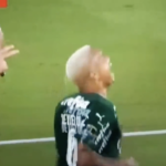 Watch: Player dives with slightest touch from ref