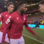 Highlights: Forest jump from foot of the table