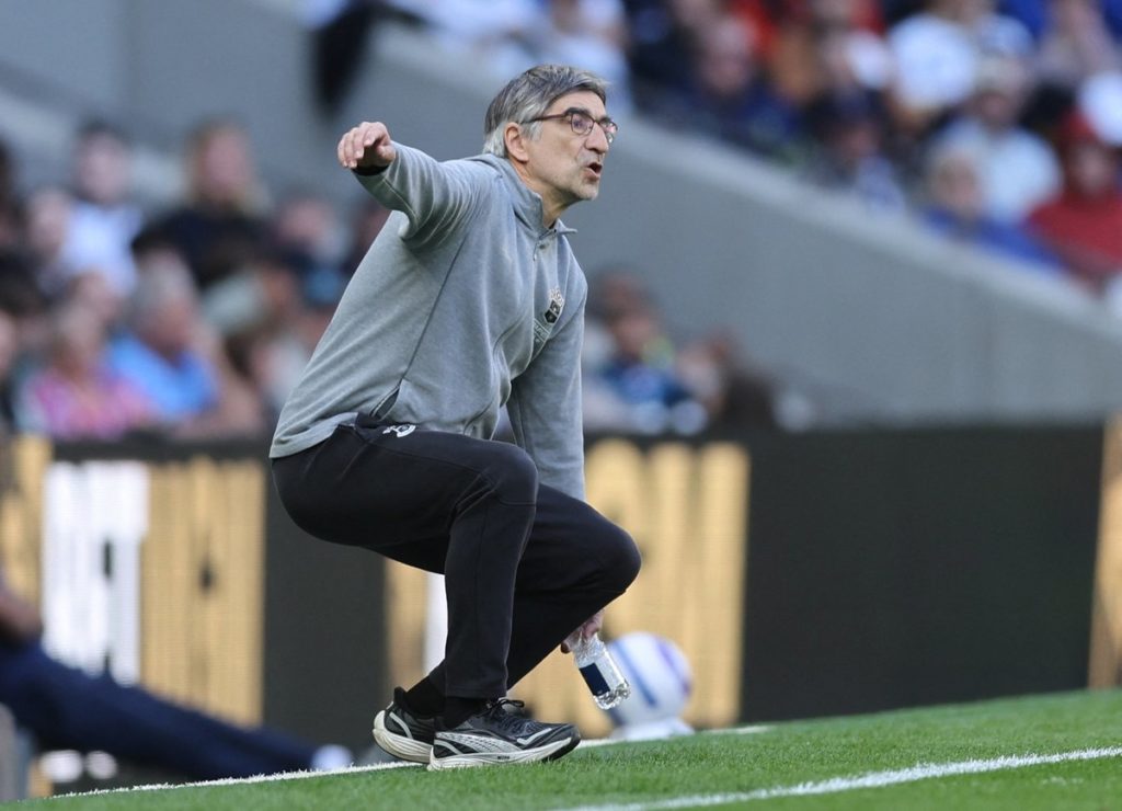 Southampton sack manager Juric after Premier League relegation
