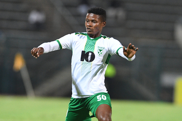 Lefty Shivambu/Gallo Images