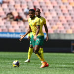 Photo by Richard Huggard/Gallo Images