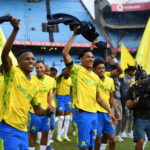 Lefty Shivambu/Gallo Images