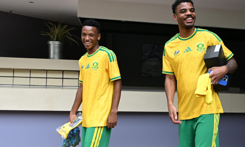 Lefty Shivambu/Gallo Images