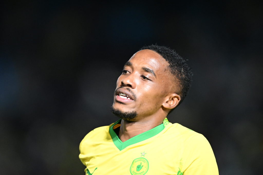 Lefty Shivambu/Gallo Images