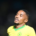 Lefty Shivambu/Gallo Images