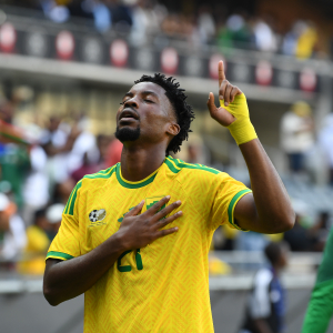 Lefty Shivambu/Gallo Images