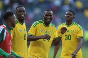 Daniel Hlongwane/Gallo Images